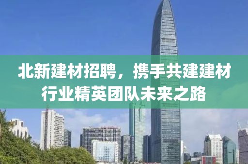 北新建材招聘，携手共建建材行业精英团队未来之路