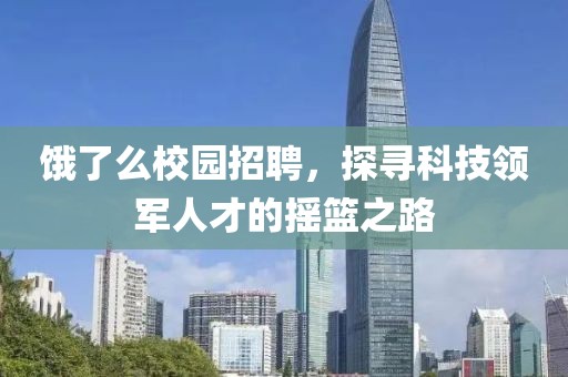 深圳市苇渡网络科技有限公司 第18页