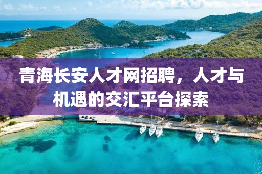 青海长安人才网招聘，人才与机遇的交汇平台探索